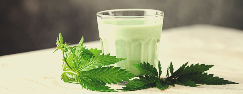 Recept voor Vegan Supermelk met CBD Recept voor Vegan Supermelk met CBD