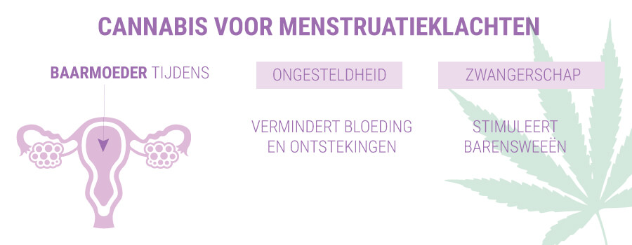 CANNABIS VOOR MENSTRUATIEKLACHTEN CANNABIS VOOR MENSTRUATIEKLACHTEN