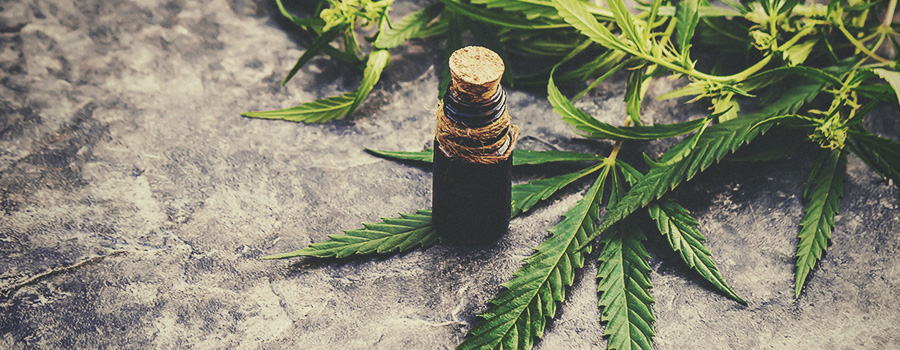 VOORBEREIDING VAN JE CANNABIS VOORBEREIDING VAN JE CANNABIS