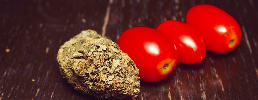 bloody mary cannabis drank tinctuur doordrenkt smakelijk tomatensap wiet