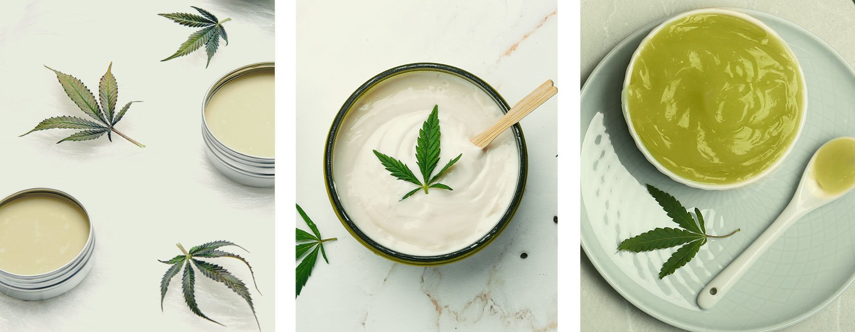 Hoe verschilt cannabiszalf van lotions en crèmes? Hoe verschilt cannabiszalf van lotions en crèmes?