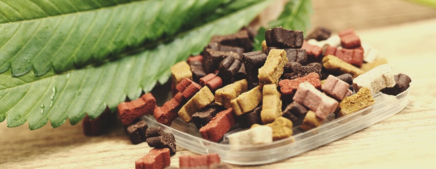 CBD-Snacks voor Katten