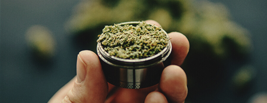 Hoe CBD thuis te koken Hoe CBD thuis te koken