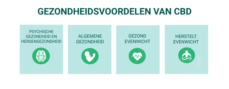 OMGAAN MET DE BIJWERKINGEN VAN THC OMGAAN MET DE BIJWERKINGEN VAN THC