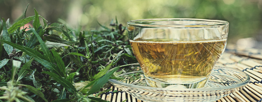 CBD-thee Maken en Drinken: Wat Moet Je Weten?