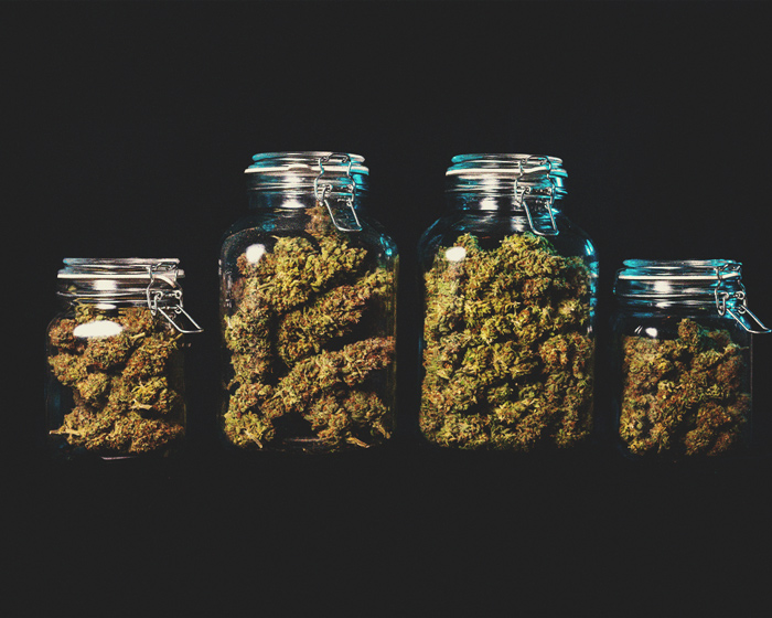 Kan cannabis je helpen beter te studeren? Kan cannabis je helpen beter te studeren?
