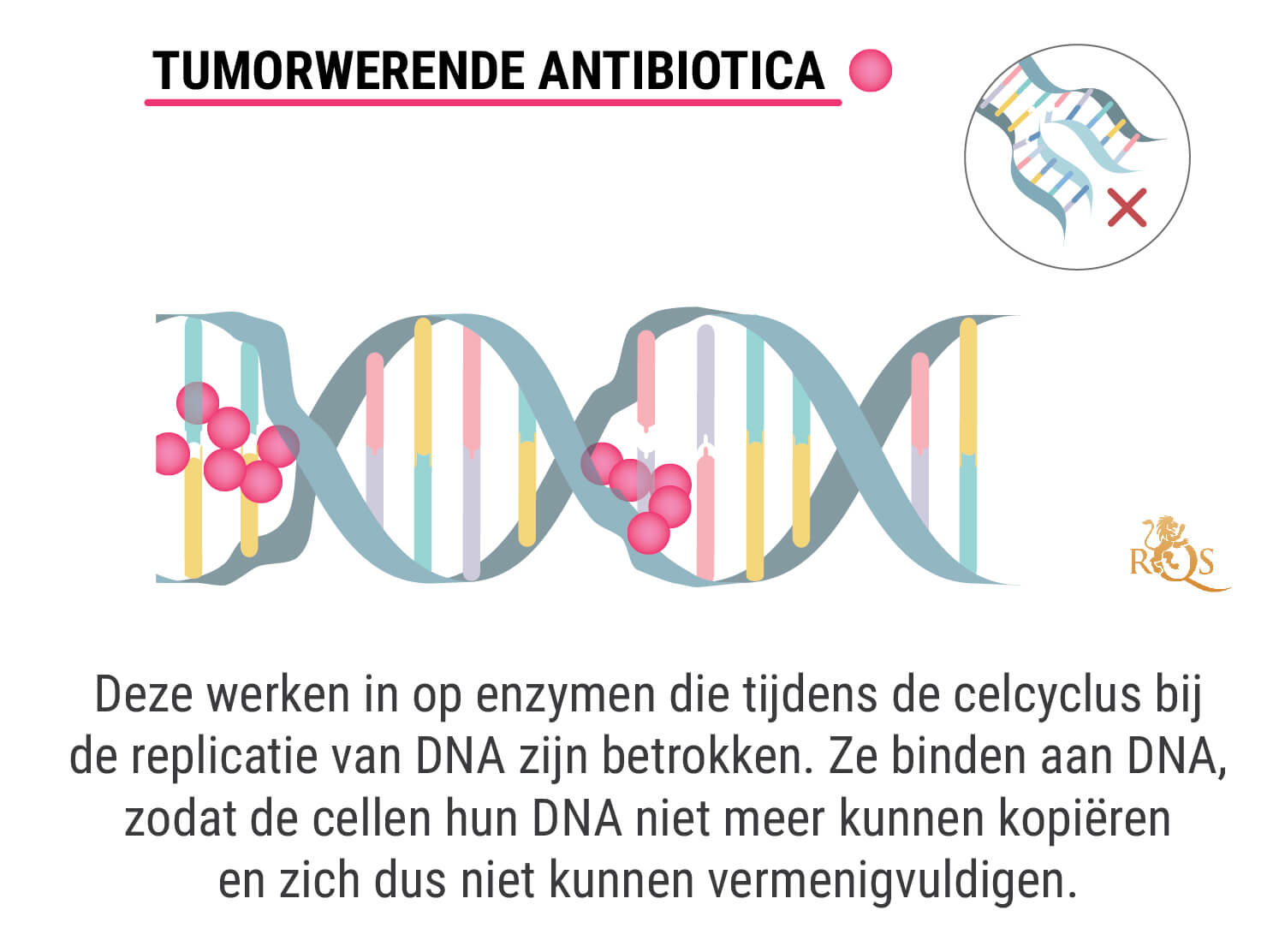 Wat Is Chemotherapie?