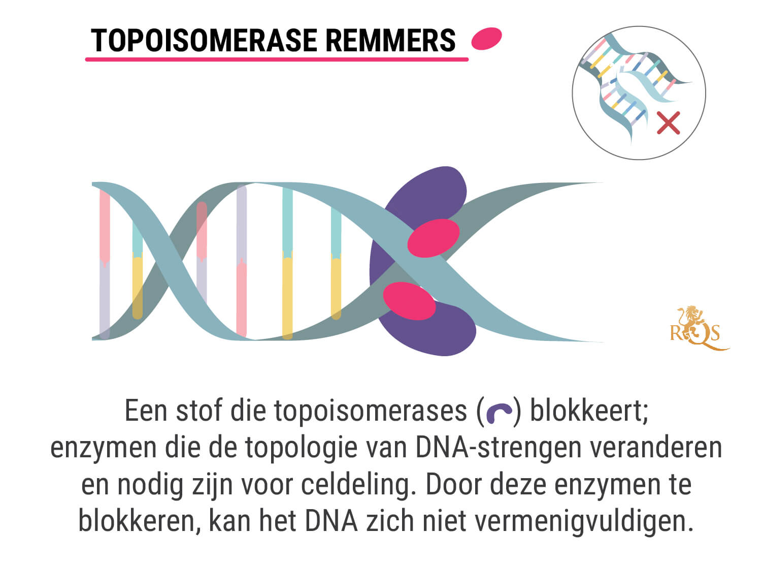 Wat Is Chemotherapie?