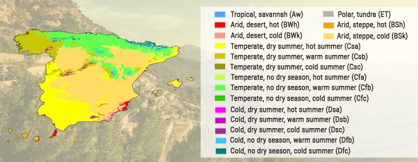 A GUIDE ON GROWING CANNABIS OUTDOORS IN SPAIN