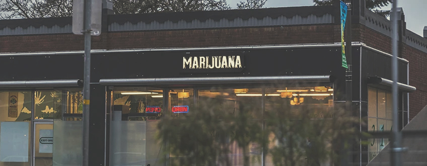 Openbaar onderwijs marihuana belastingen dispensary