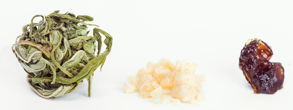concentreert cannabis terpenen winning olie cbd medische marihuana