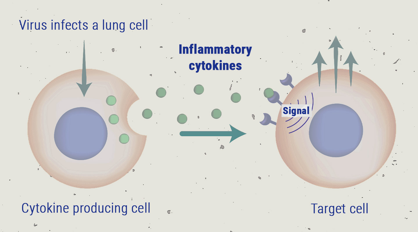 De cytokinestorm De cytokinestorm