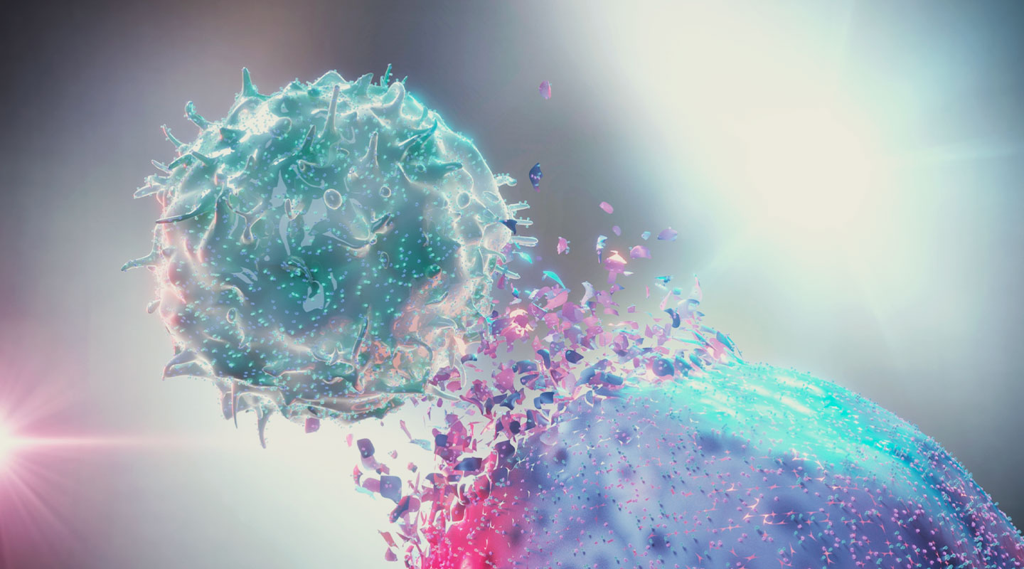 Het ECS en immuniteit Het ECS en immuniteit