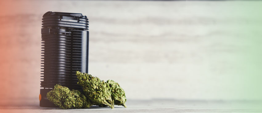 Crafty + Vaporizer