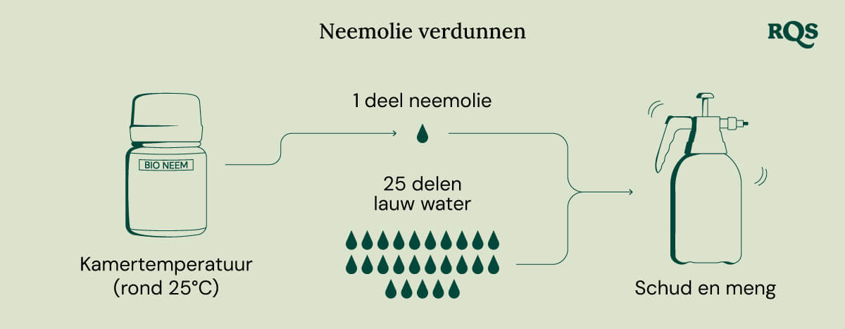 Diluting neem oil