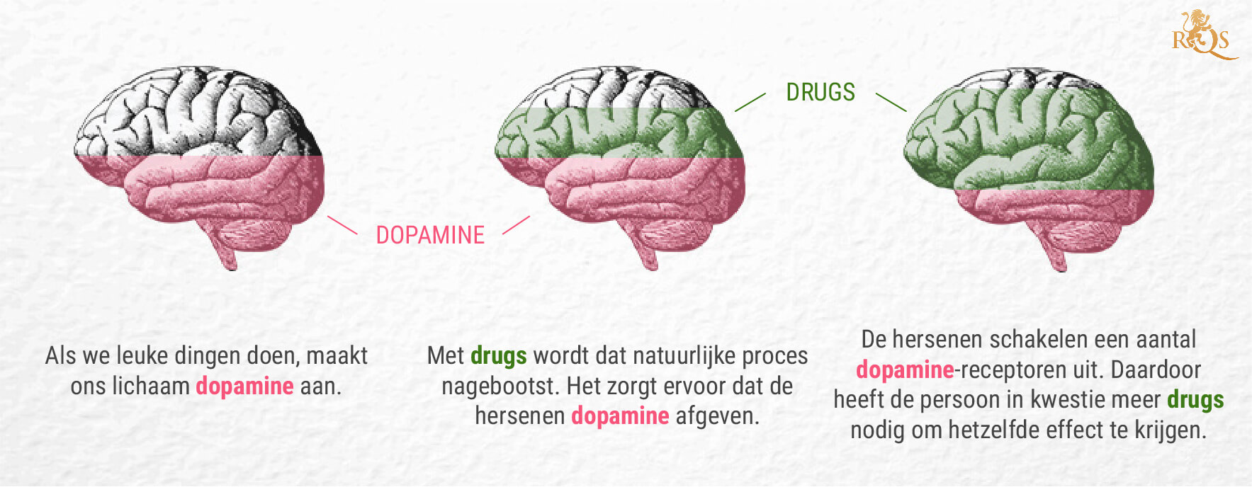 Wat is de link tussen wiet en dopamine? Wat is de link tussen wiet en dopamine?