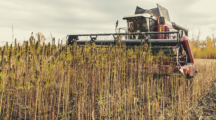 Dry farming: een voorbeeld van regeneratieve landbouw