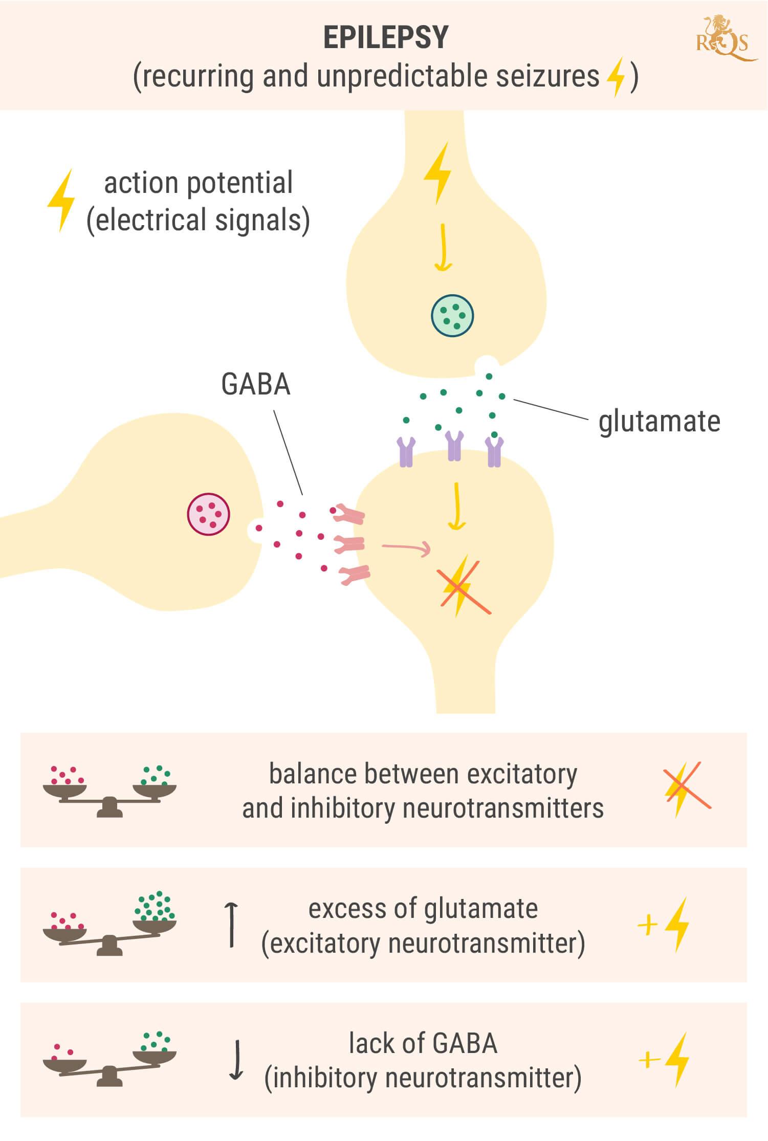 Waarom komt epilepsie voor? Waarom komt epilepsie voor?