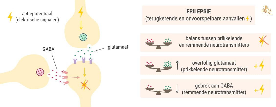 De wetenschap achter aanvallen De wetenschap achter aanvallen