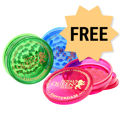 Free RQS Grinder with every cannabis seed order Free RQS Grinder with every cannabis seed order