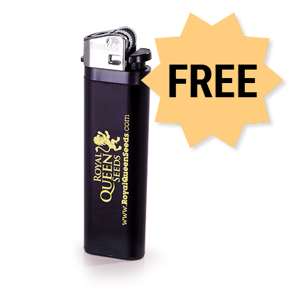 Free RQS Lighter Free RQS Lighter