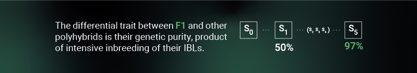 Genetics F1 Genetics F1