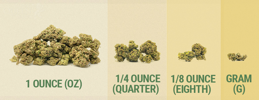 HET BEGRIJPEN VAN DE HOEVEELHEDEN CANNABIS HET BEGRIJPEN VAN DE HOEVEELHEDEN CANNABIS