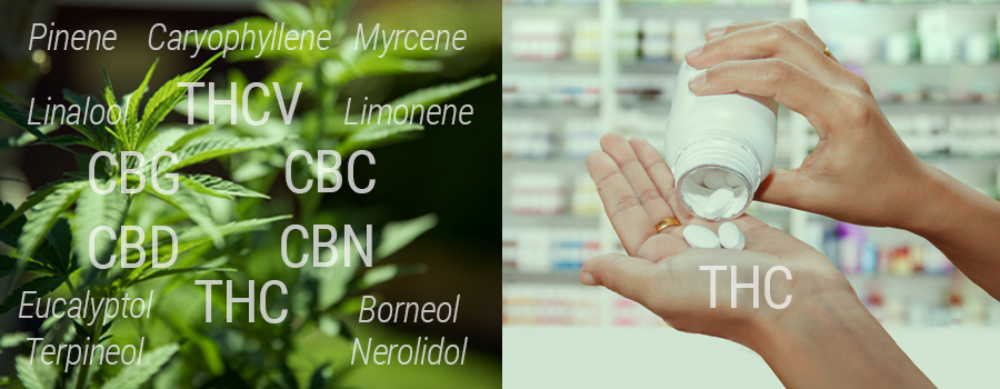 THC vergelijking tegen synthetische THC