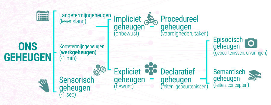 Soorten Geheugen Soorten Geheugen