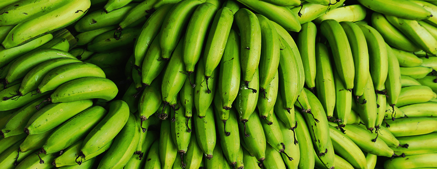 Banana Pipe Cannabis Banana Pipe Cannabis