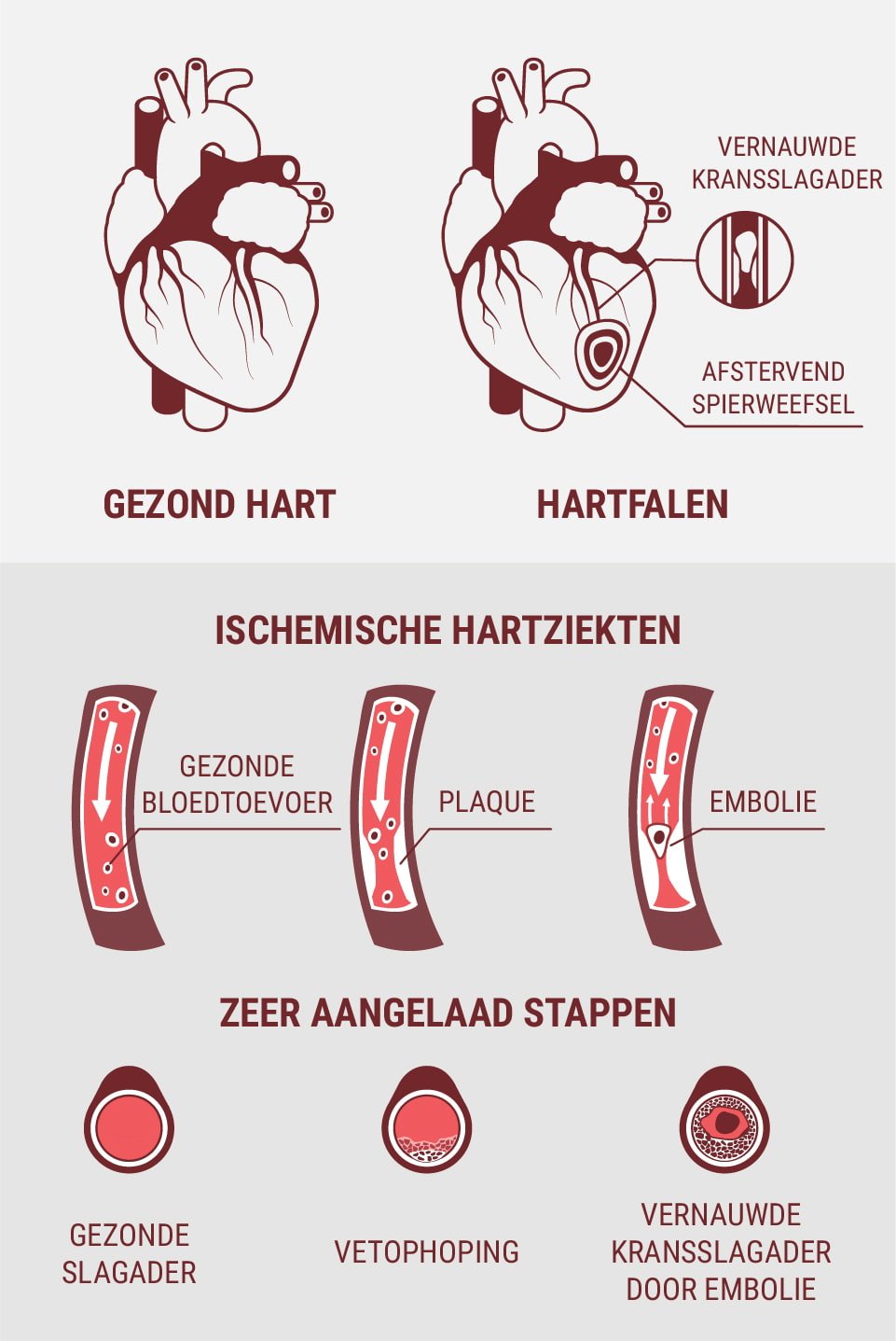 Zijn hart- en vaatziekten en hartziekten hetzelfde?