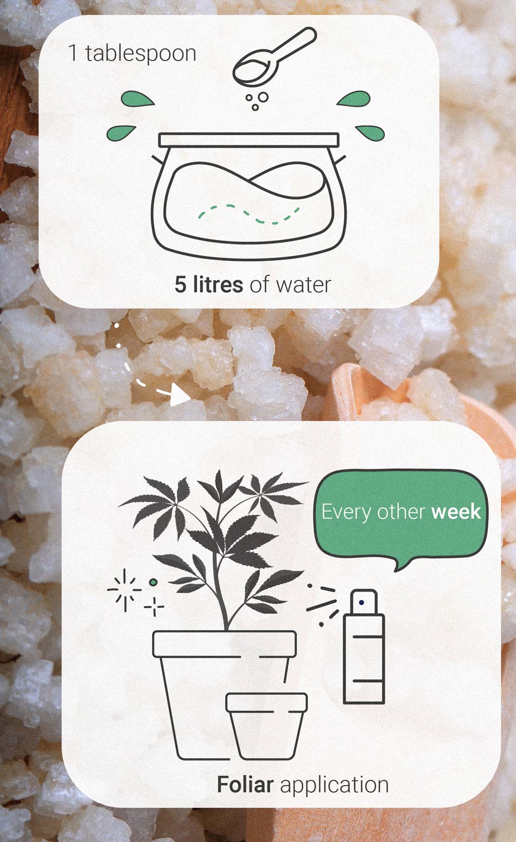 Bitterzout: een natuurlijk element voor het kweken van gezonde cannabis Bitterzout: een natuurlijk element voor het kweken van gezonde cannabis