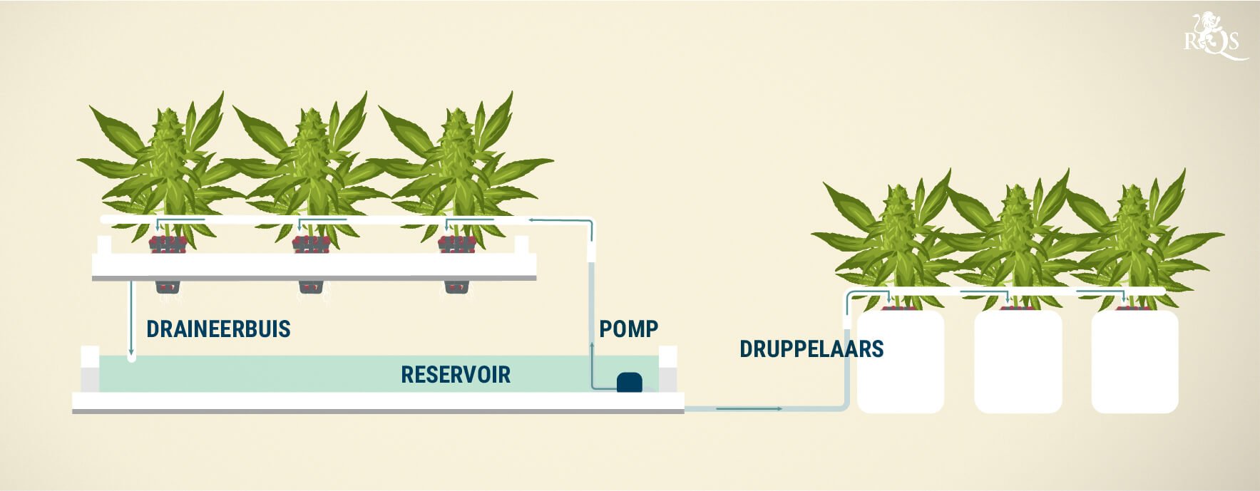 Druppelsysteem