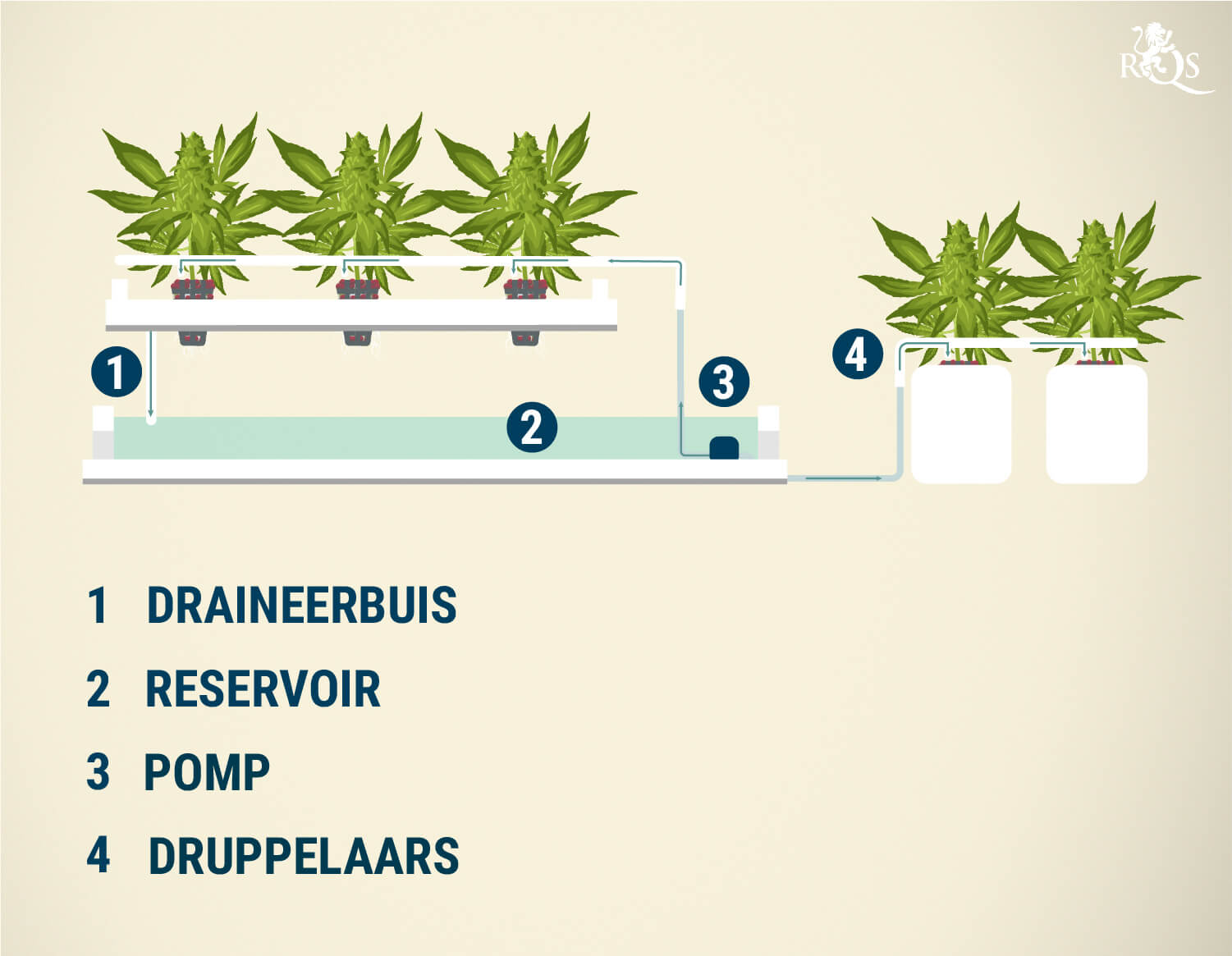 Druppelsysteem