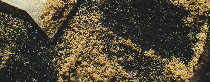 Kief Kief