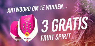 Answer to win 3 FREE Fruit Spirit