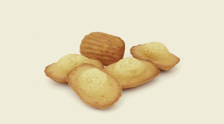 Madeleines Madeleines