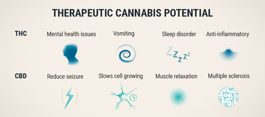 Medical Cannabis Medical Cannabis