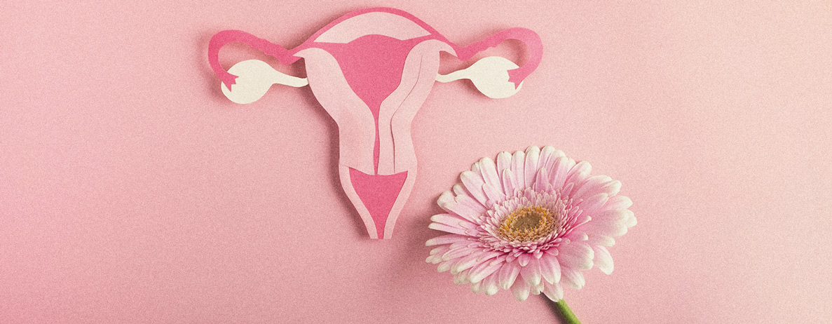 Kan wiet bijdragen aan de gezondheid van vrouwen?