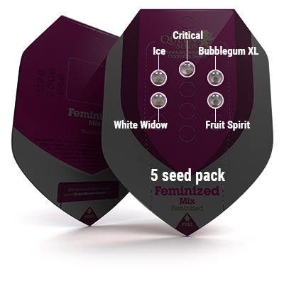 5 Seed RQS Feminized Mix