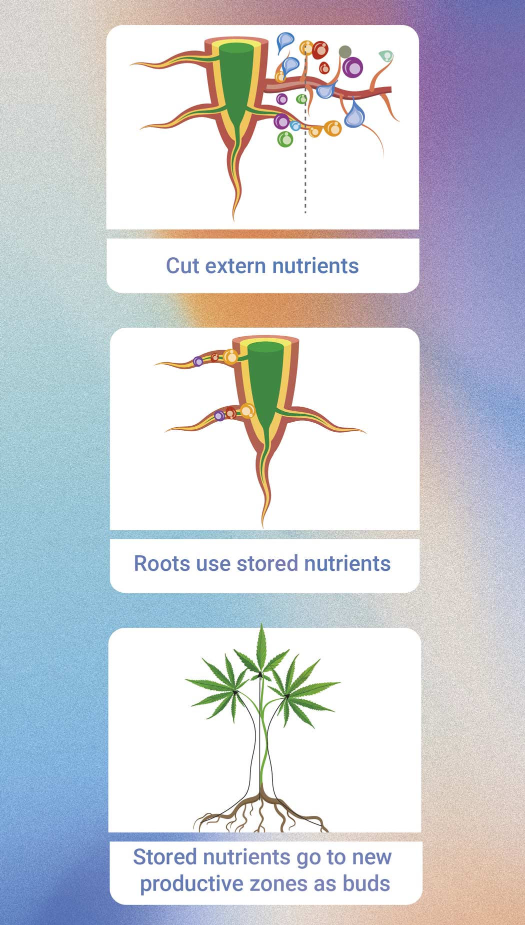 Hoe en Wanneer Je Marijuana Planten Kunt Spoelen Hoe en Wanneer Je Marijuana Planten Kunt Spoelen