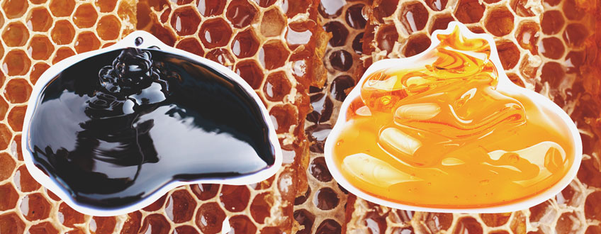 Molasses vs Honey Molasses vs Honey