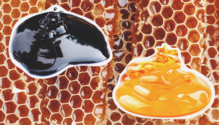 Molasses vs Honey Molasses vs Honey