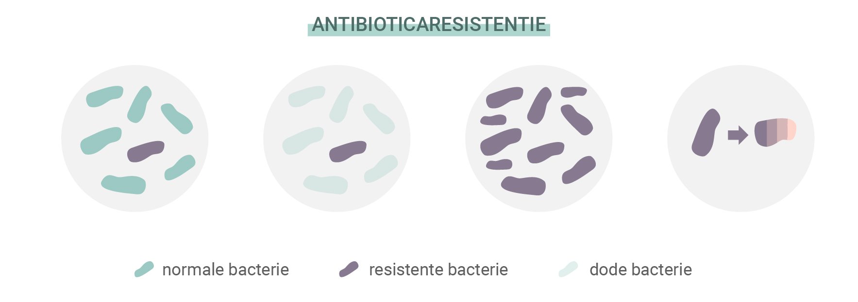 Wat is antibioticaresistentie? Wat is antibioticaresistentie?