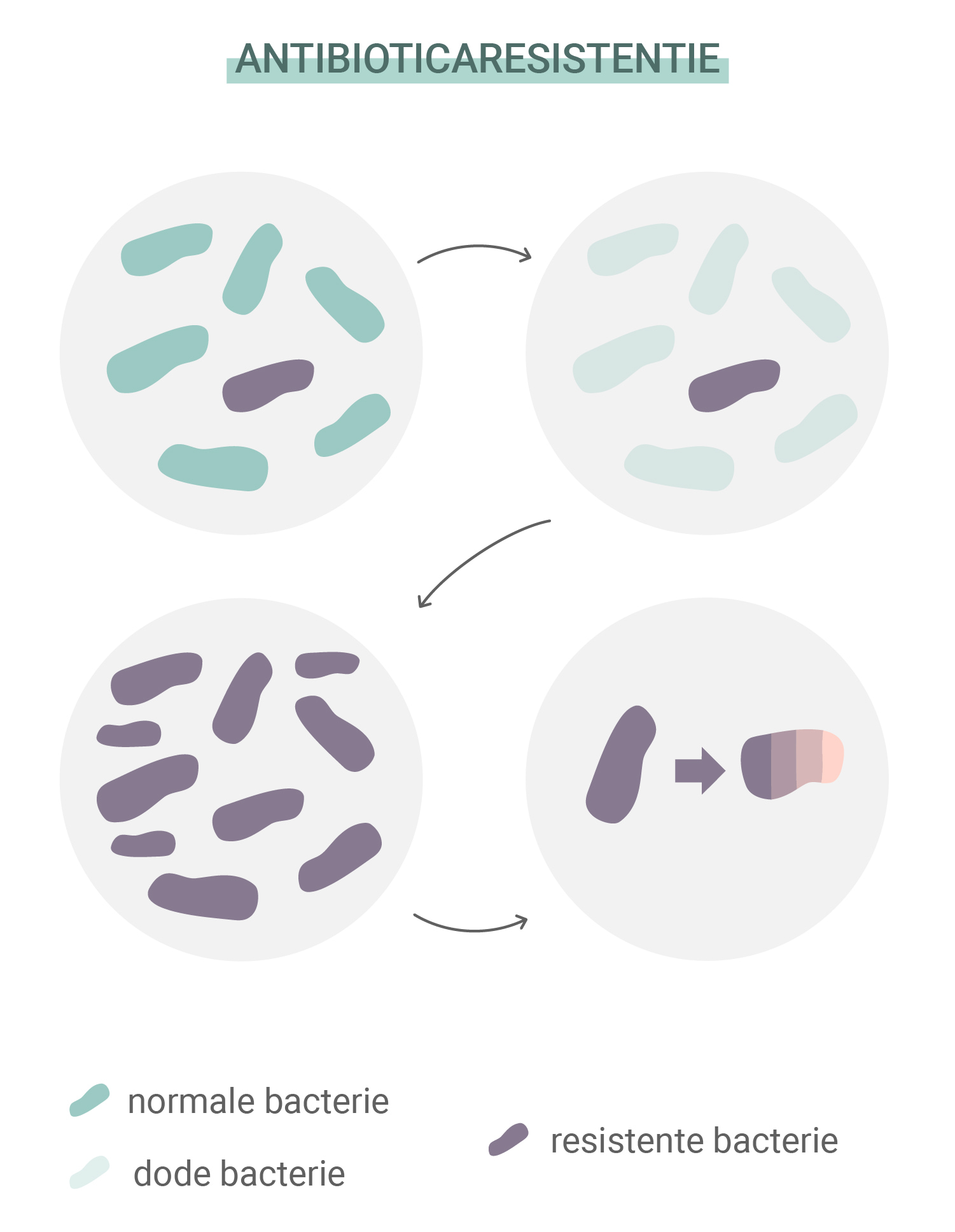 Wat is antibioticaresistentie? Wat is antibioticaresistentie?