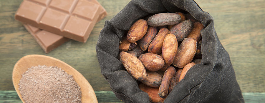 Other cannabinoids plants chocolate