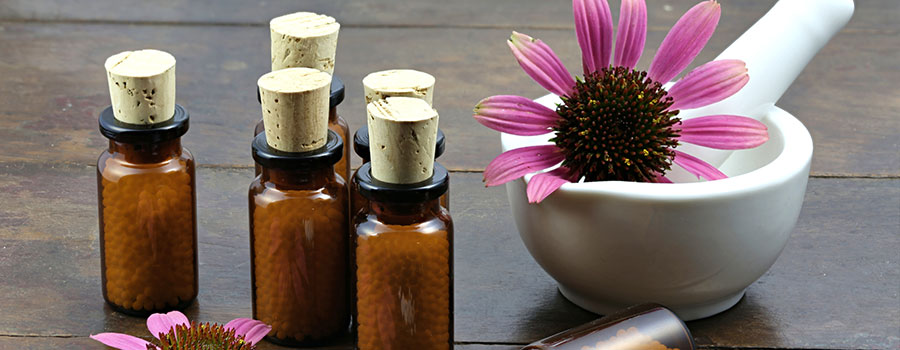 Other cannabinoids plants echinacea