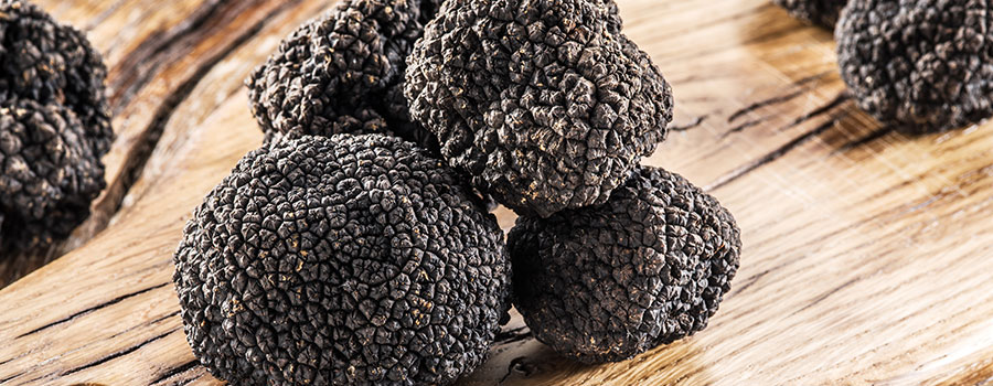 Other cannabinoids plants truffles