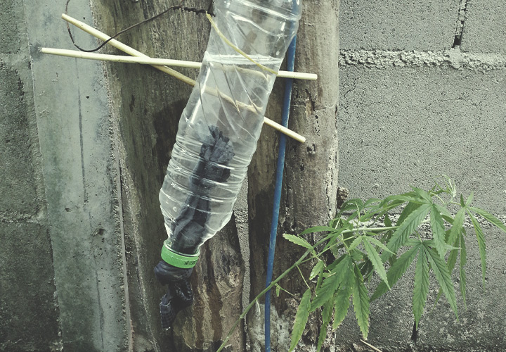 Hoe Bouw Je een Outdoor Druppelirrigatiesysteem Met Flessen? Hoe Bouw Je een Outdoor Druppelirrigatiesysteem Met Flessen?