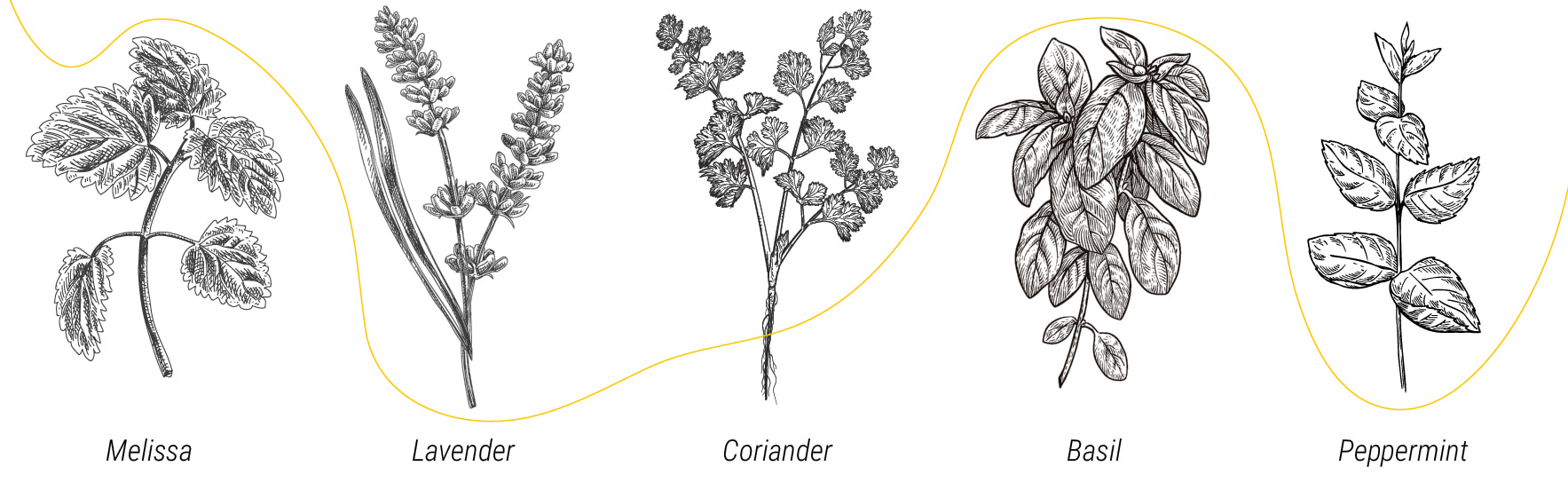 How To Prevent Pests From Invading Your Outdoor Cannabis Grow How To Prevent Pests From Invading Your Outdoor Cannabis Grow